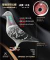 图片暂时未上传