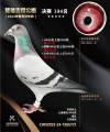 图片暂时未上传