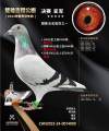 图片暂时未上传