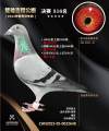 图片暂时未上传