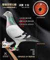 图片暂时未上传