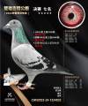图片暂时未上传