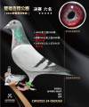 图片暂时未上传