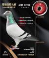 图片暂时未上传