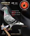 图片暂时未上传