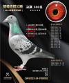 图片暂时未上传