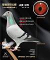 图片暂时未上传