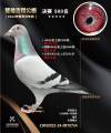 图片暂时未上传