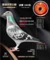 图片暂时未上传