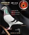 图片暂时未上传