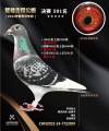 图片暂时未上传