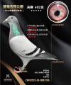图片暂时未上传