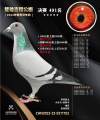 图片暂时未上传