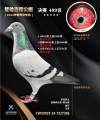 图片暂时未上传