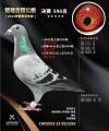 图片暂时未上传