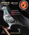 图片暂时未上传