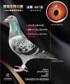 图片暂时未上传