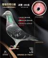 图片暂时未上传