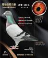 图片暂时未上传