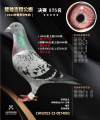 图片暂时未上传