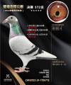 图片暂时未上传