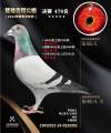 图片暂时未上传