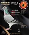 图片暂时未上传