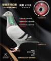 图片暂时未上传