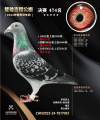 图片暂时未上传