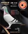 图片暂时未上传