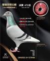 图片暂时未上传