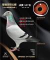 图片暂时未上传