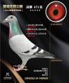 图片暂时未上传