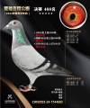 图片暂时未上传