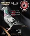 图片暂时未上传