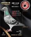 图片暂时未上传
