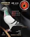 图片暂时未上传
