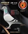 图片暂时未上传