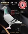 图片暂时未上传