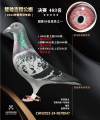 图片暂时未上传