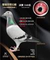 图片暂时未上传