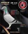 图片暂时未上传