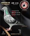图片暂时未上传