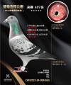 图片暂时未上传