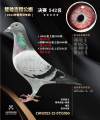 图片暂时未上传