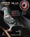 图片暂时未上传