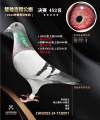 图片暂时未上传