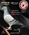 图片暂时未上传