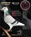 图片暂时未上传