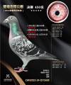 图片暂时未上传
